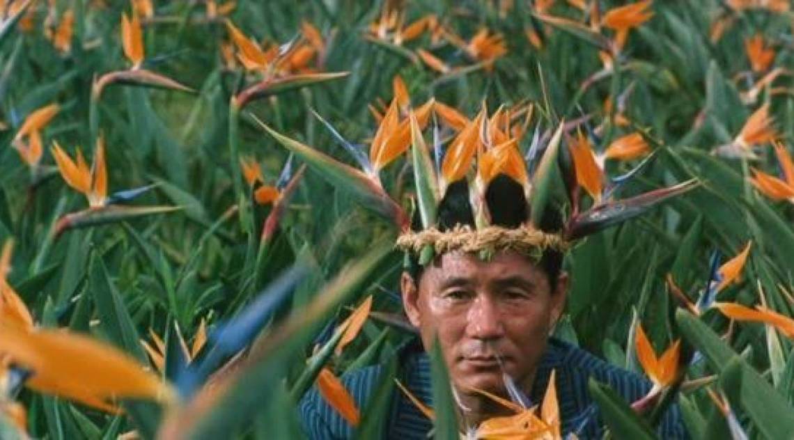 Unidades do Sesc na Baixada exibem filmes de Takeshi Kitano em fevereiro