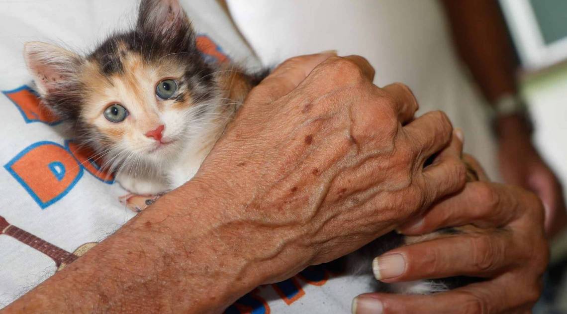 Rio, 30/01/2020, ONG que faz tratamento de Pet Terapia em Idosos de asilo do municipio, Foto de Gilvan de Souza / Agencia O Dia