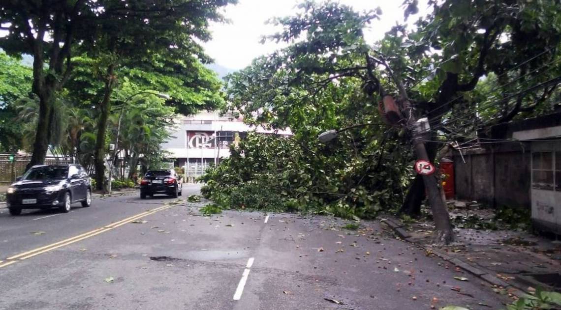Árvore caída na Avenida Afrânio de Melo Franco, no Leblon