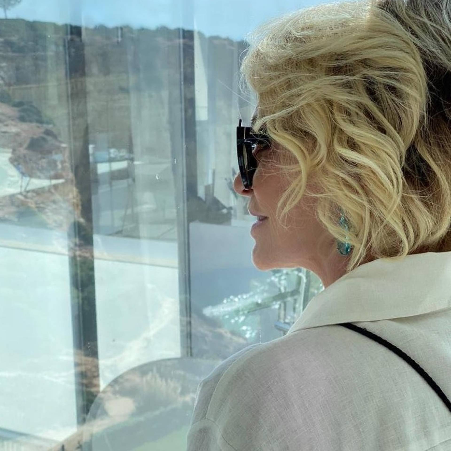 Ana Maria Braga - Reprodução Internet