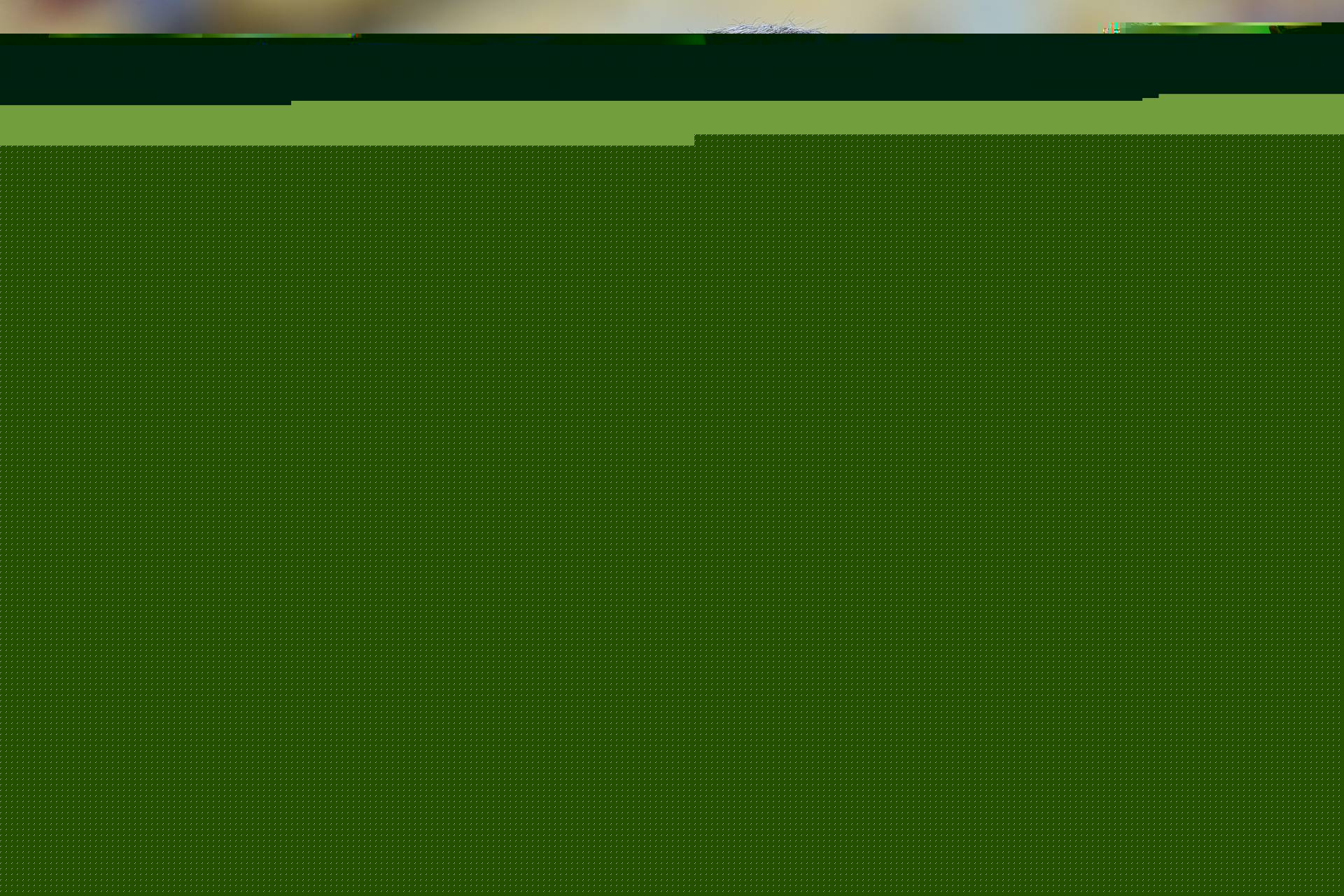 09/02/2020 - FLUMINENSE X BOTAFOGO se enfrentam, neste domingo, no Maracana pela 6 rodada do Campeonato Carioca. Na foto o tecnico Odair Hellmann do time do Fluminense. Foto: Daniel Castelo Branco / Agencia O Dia