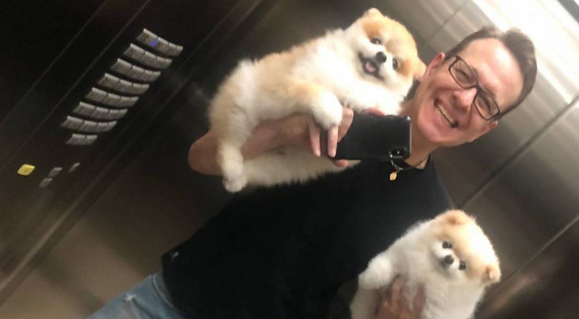 Celso Zucatelli e seus pets  - Reprodução Instagram