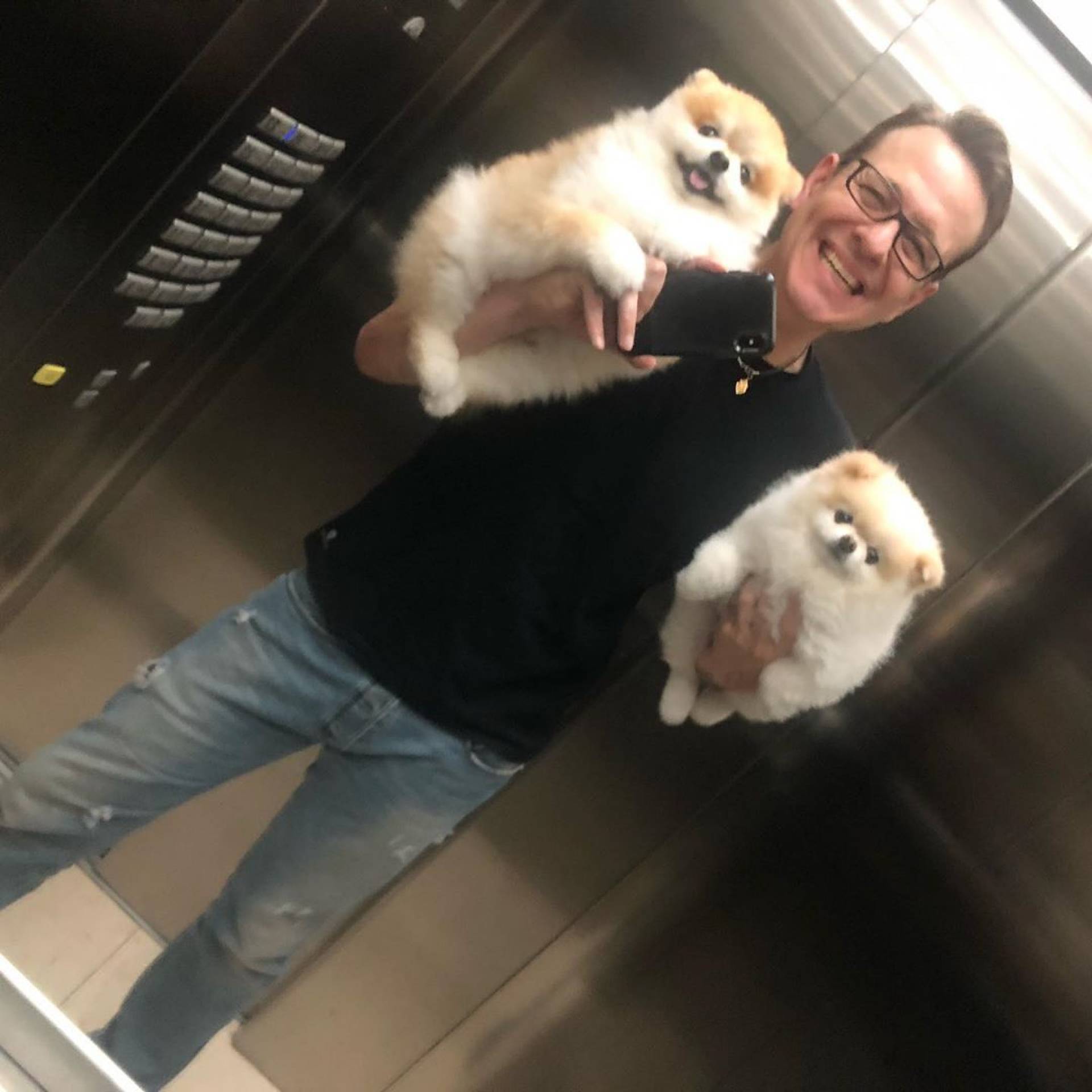 Celso Zucatelli e seus pets  - Reprodução Instagram