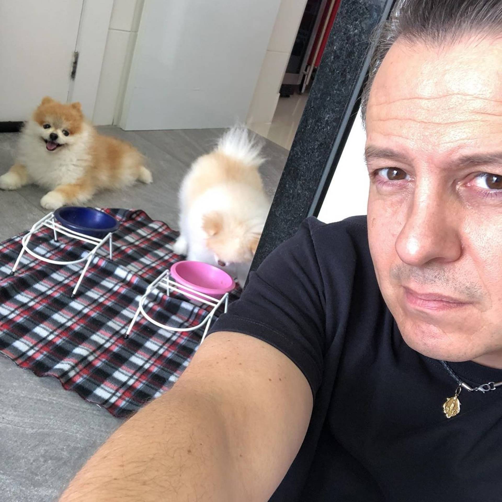 Celso Zucatelli e seus pets  - Reprodução Instagram