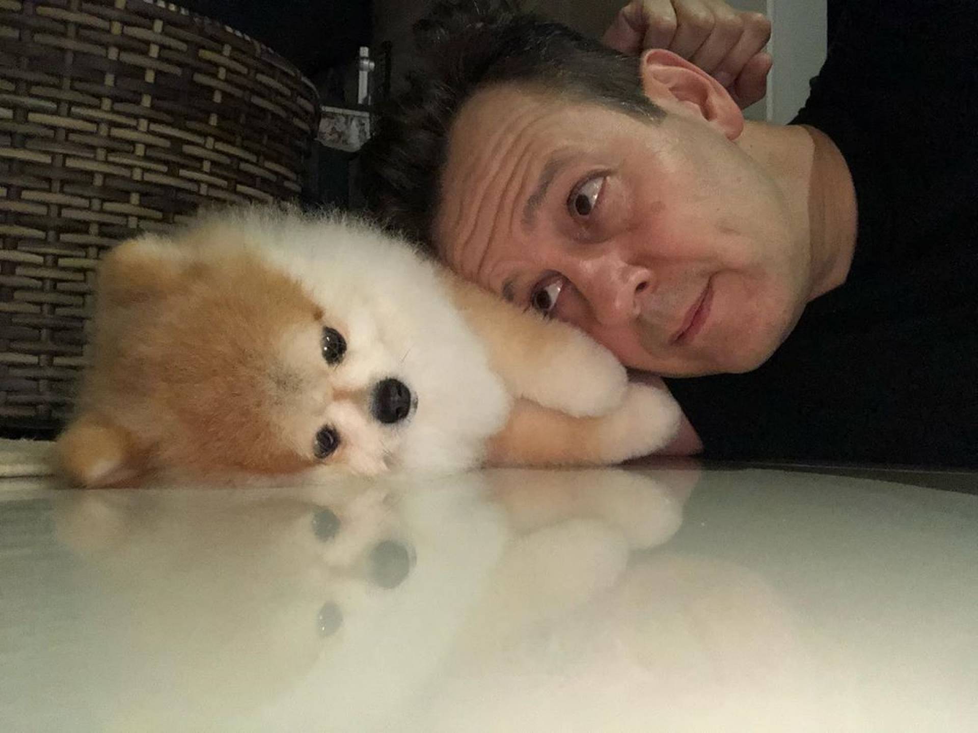 Celso Zucatelli e seus pets  - Reprodução Instagram