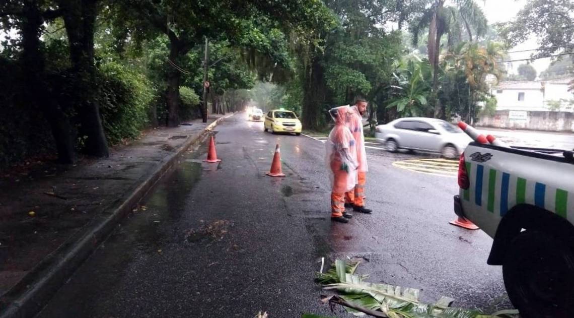 Queda de árvore na Estrada Barra da Tijuca