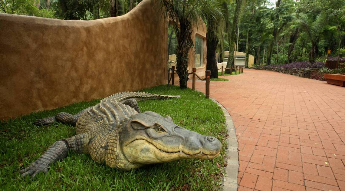 Apresentação das obras do novo Zoológico do Rio, que se chamará, Bio Parque do Rio, na Quinta da Boa Vista.Na foto,dependências e obras do Zoo.