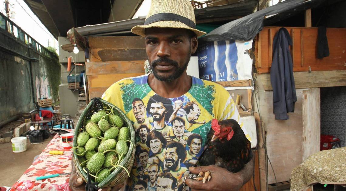 Homem planta,colhe e cria animais como em um sítio em terreno que já abrigou quartel dos Bombeiros na Praça da Bandeira. Na foto, Romero Tomás de Aquino. - Estefan Radovicz / Agencia O Dia