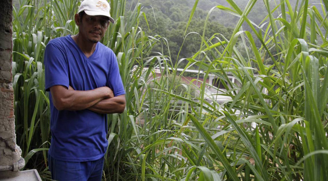 Rio,12/02/2020- PARACAMBI,Bairro Ponte Coberta, Especial ,Despejo de esgoto in natura na Bacia do Rio Guandu,na foto. Isais .Foto: Cleber Mendes/Agência O Dia