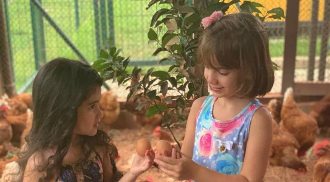 Aventuras Maternas: dicas para curtir a folia em família  - Divulgação