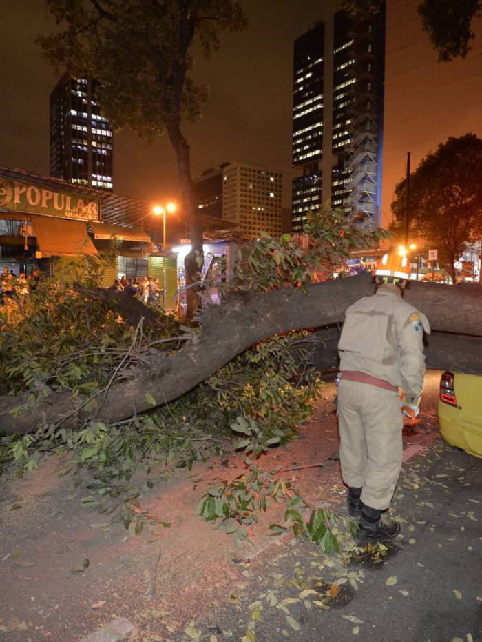 14/02/2020 - Queda de arvore sobre um taxi na rua Uruguaiana altura do mercado polular , na regi&Atilde;&pound;o central do Rio  - Foto:Fabio Costa/Agencia O Dia