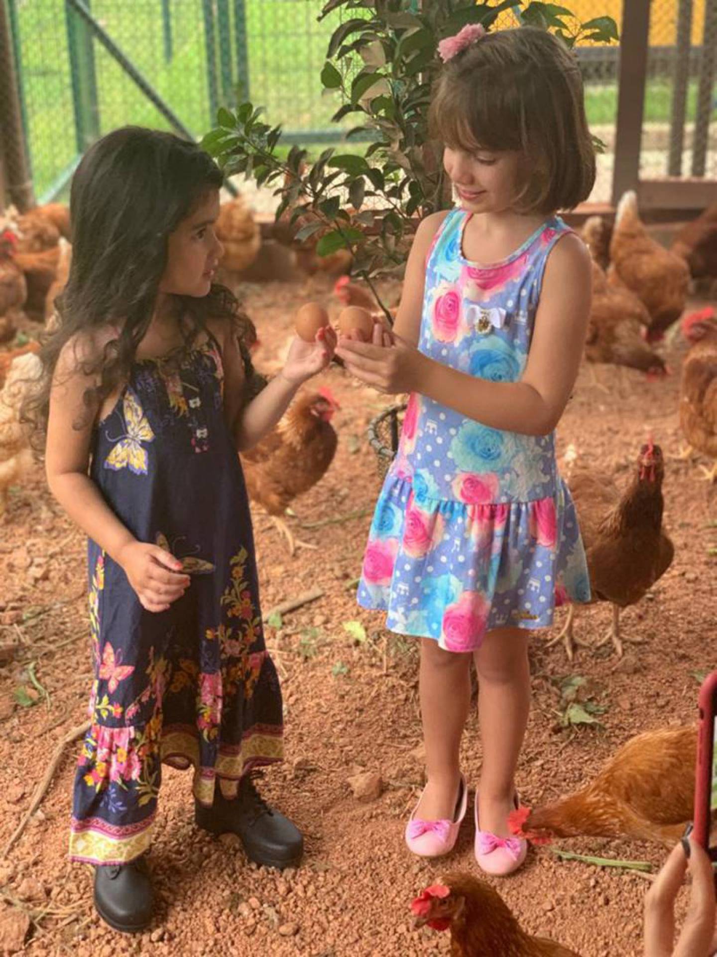 Aventuras Maternas: dicas para curtir a folia em família 