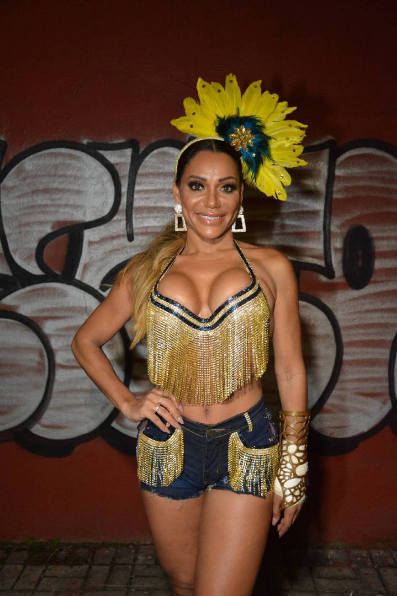 Ana Paula Evangelista brilha no ensaio da Tijuca - Divulgação