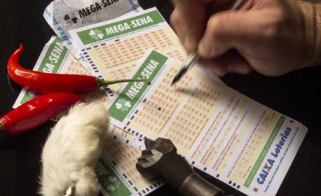 Mega-Sena sorteia neste sábado prêmio acumulado em R$ 6,5 milhões