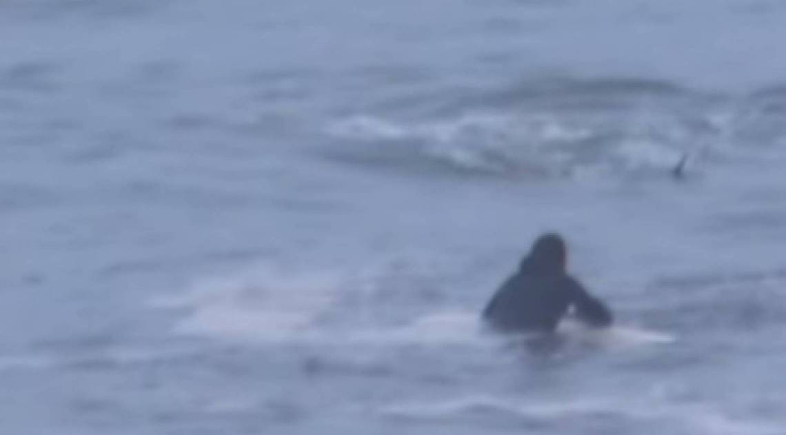 Episódio aconteceu no estado norte-americano da Carolina do Norte - Pixabay