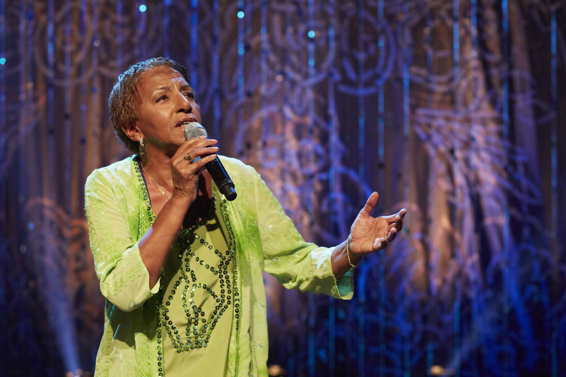 Artistas que vão se apresentar no Terreirão do Samba - Divulgação