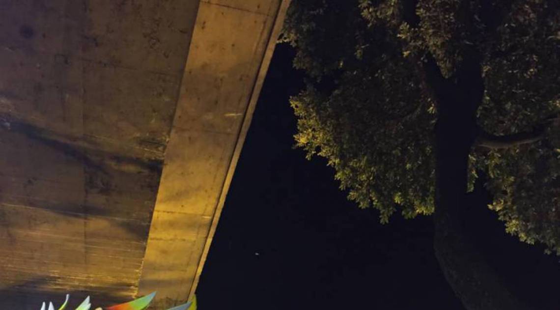 Carros da Uni&atilde;o da Ilha tiveram dificuldades de passar sob viaduto na Avenida Presidente Vargas  - Gabriel Sobreira