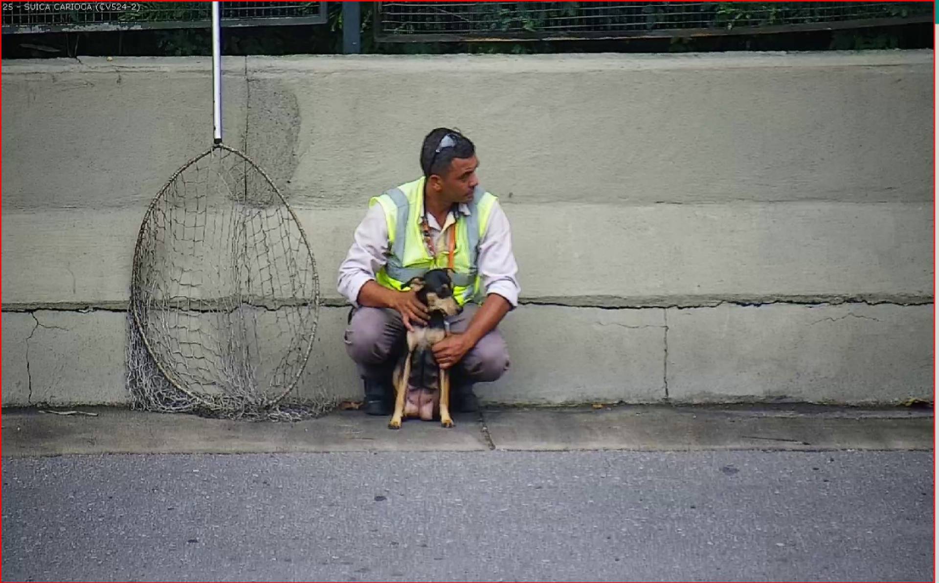 Cachorrinha é resgatada na Linha Amarela

