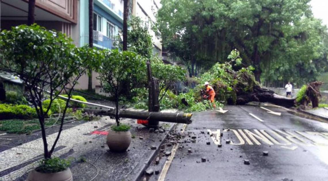 Queda de &aacute;rvore na Rua Visconde de Albuquerque, na G&aacute;vea - Divulgação / COR