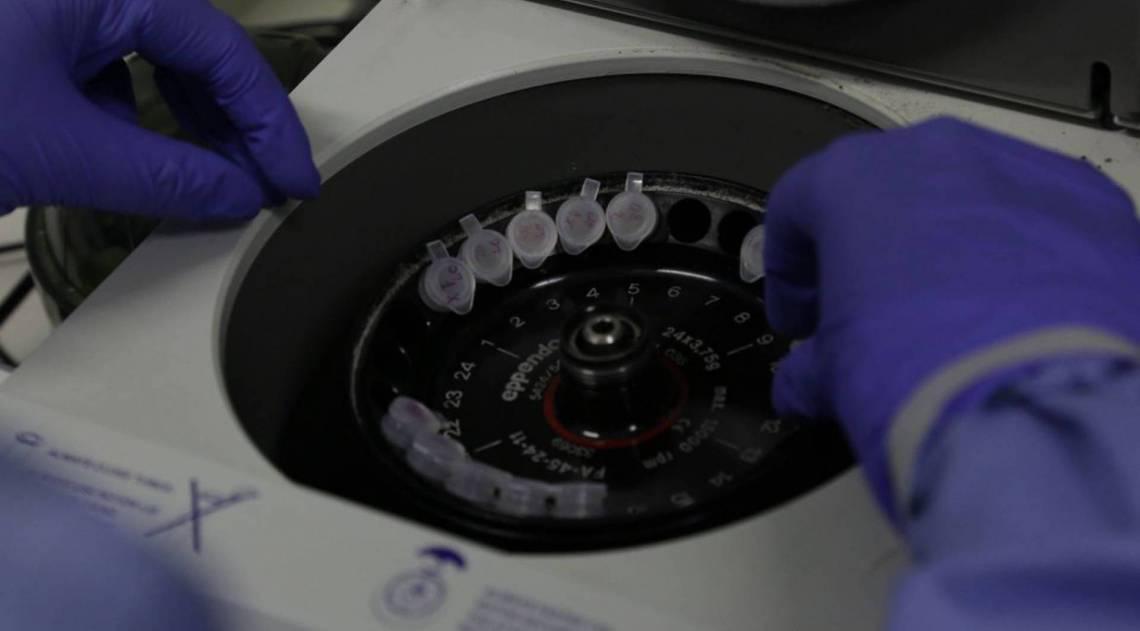 Primeiro caso do novo coronavírus em um morador do Brasil foi identificado no dia 26 de fevereiro - Divulgação/Josué Damacena (IOC/Fiocruz)