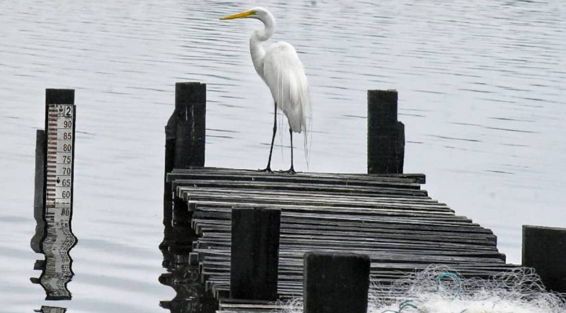 Alerta em Maricá - Divulgação