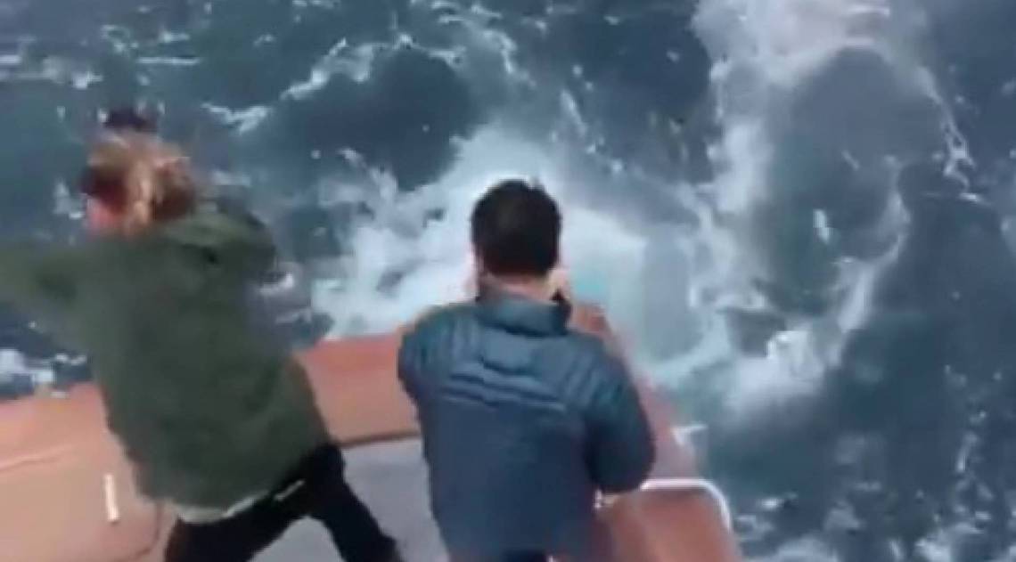 Pescadores são atacados por tubarões em pleno oceano
 - Twitter