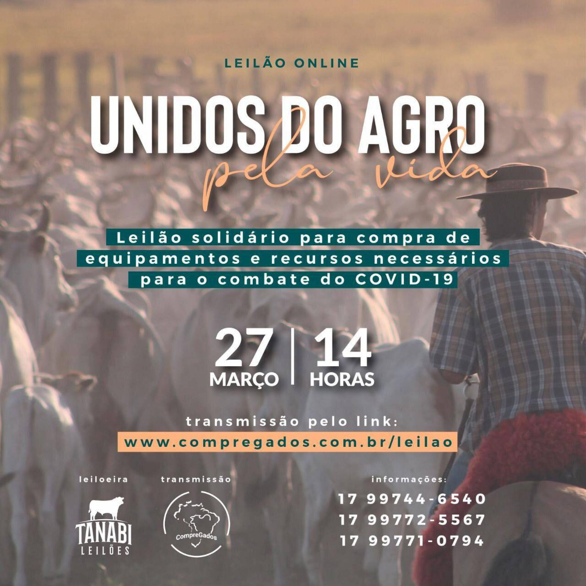 Artistas doam objetos para ajudar no combate ao Covid-19