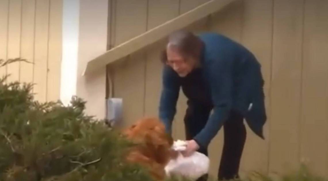 Sunny faz entrega das compras de Renee - Reprodução Facebook