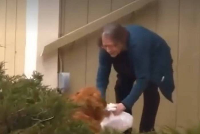 Cachorro entrega compras para vizinha idosa na quarentena