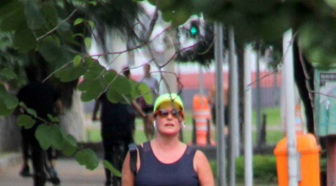 Renata Ceribelli - Agnews