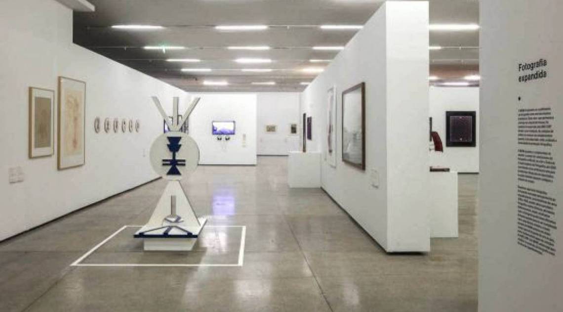 MAM de São Paulo abre as portas virtuais para visitação do público