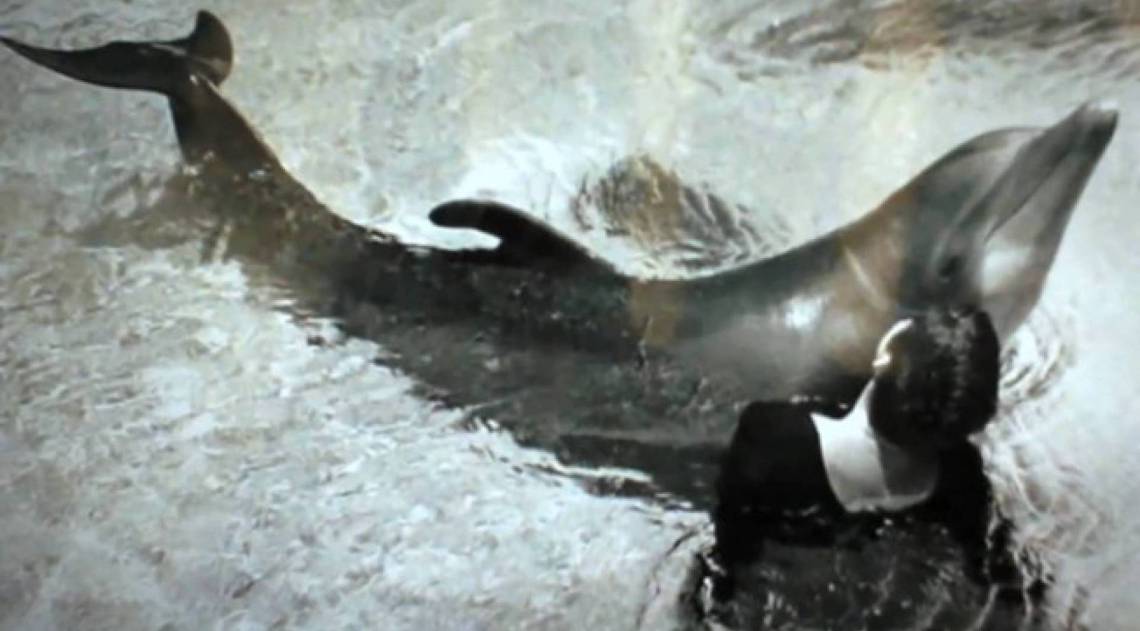 Margaret, mulher que fez sexo com golfinhos a pedido da NASA - Reprodução