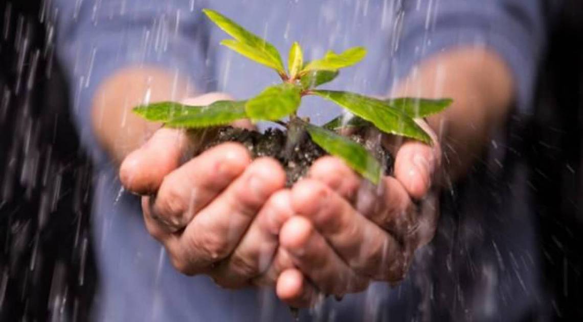 Pelo site firjan.com.br/acaoambiental os interessados podem se candidatar e ler o regulamento; resultado sai dia 06/11 - Arquivo 