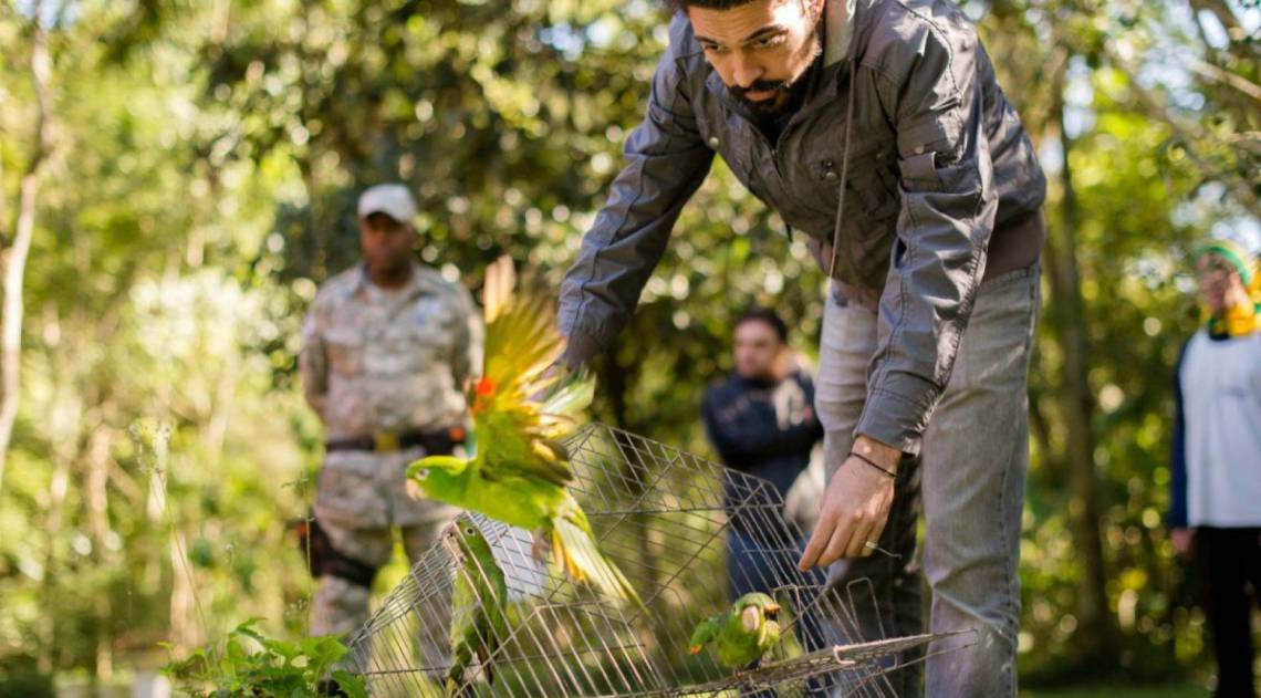 Trabalho realiza tratamento e recuperação dos animais para deixá-los aptos para retornar à natureza