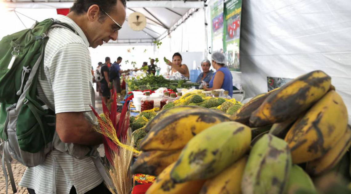 Prefeitura determina edição em até cinco dias de uma resolução para retomar as feiras livres durante a pandemia do novo coronavírus na cidade - Tânia Rêgo/Agencia Brasil