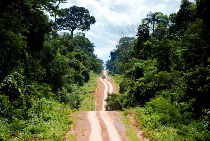 Estrada que leva ao distrito de Guariba e marca o limite da  Terra Indígena Kawahiva do Rio Pardo