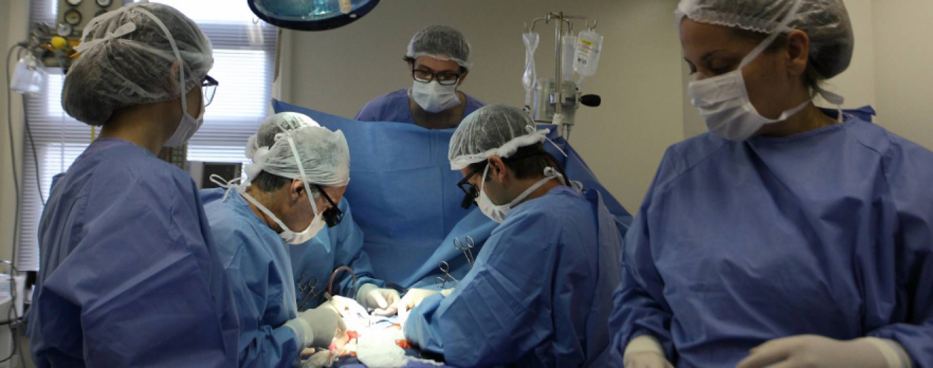 Mulher morre após receber transplante de pulmão infectado com covid-19