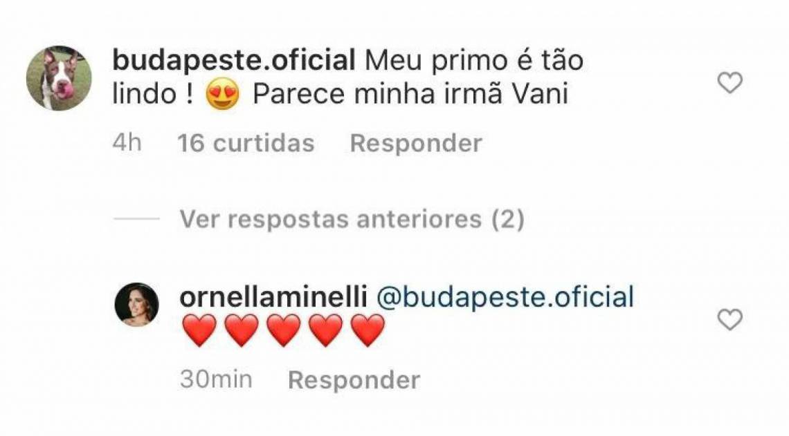 Gabriela Pugliesi usa perfil de seu cachorro para comentar foto da irmã