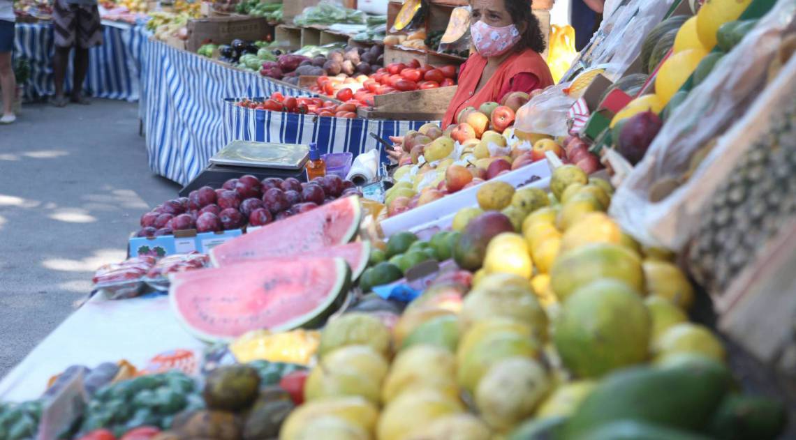 Rio,29/04/2020 -COVID-19 -CORONAVIRUS ,LEBLON, feiras livres voltam a ser montadas em dias e locais definidos, feira movel, da Praca Almirante Belford Vieira, Leblon. Na foto, Valeria Marques.Foto: Cleber Mendes/Agência O Dia