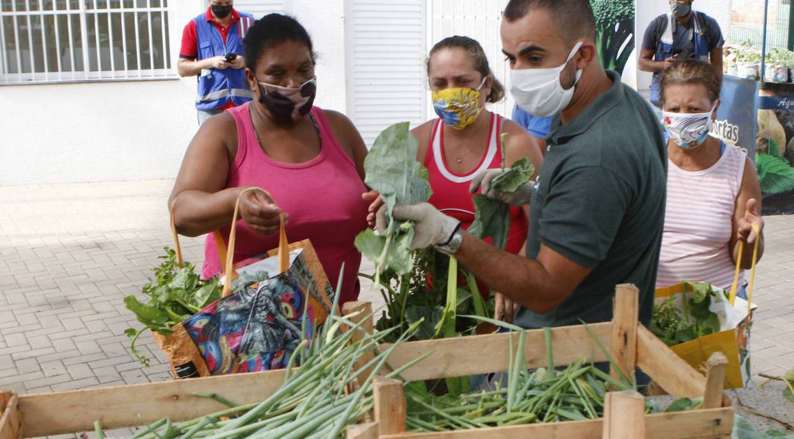 Rio de Janeiro - RJ  - 30/04/2020 - COVID 19 - Coronavirus na cidade do Rio - A prefeitura do Rio, por meio da Secretaria do meio Ambiente, entrega nesta quinta feira 200 quilos de alientos para familias em situa&ccedil;ao de inseguran&ccedil;a alimentar da comunidade da palmeirinha. No Centro Municipal de Agroecologia e Produ&ccedil;ao Organica, no Parque de madureira, Parque 4, em Guadalupe, zona norte do Rio Foto Reginaldo Pimenta / Agencia O Dia