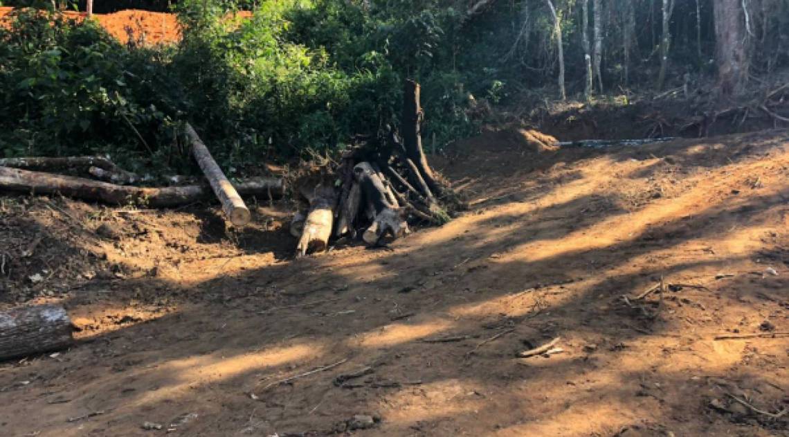 O flagrante de desmatamento aconteceu esta semana durante uma operação dos fiscais na região