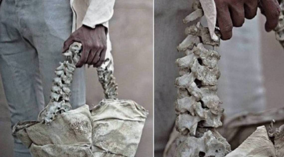 Estilista cria bolsa de espinha humana - Reprodução / Instagram