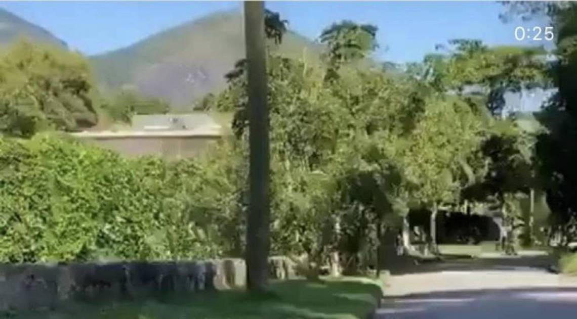 Tatá Werneck se assusta com jiboia  - Reprodução / Redes Sociais