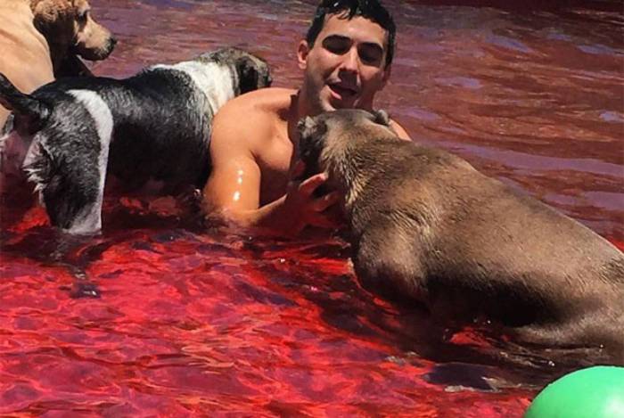 André Marques  - Reprodução Instagram 