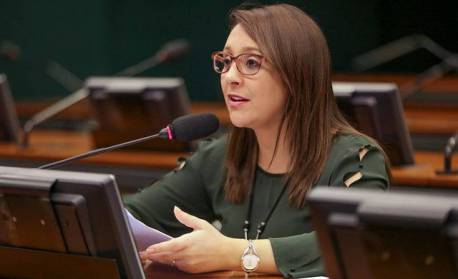 Em busca de uma senadora