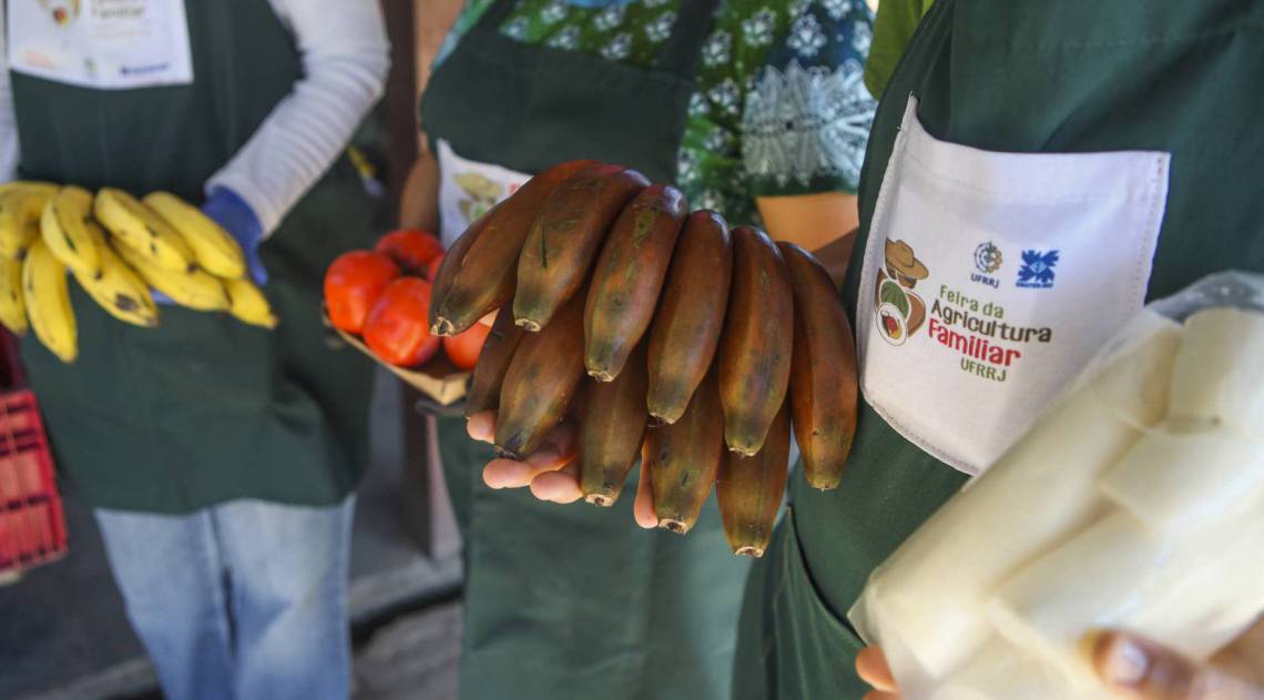 Rio, 20/05/2020  - COVID 19 - CORONAVIRUS - Feira da agricultura familiar. Projeto criado pela UFRRJ e EMATER-RIO. Seropedica, Municipio do Rio. coronavirusrio. Foto: Ricardo Cassiano/Agencia O Dia