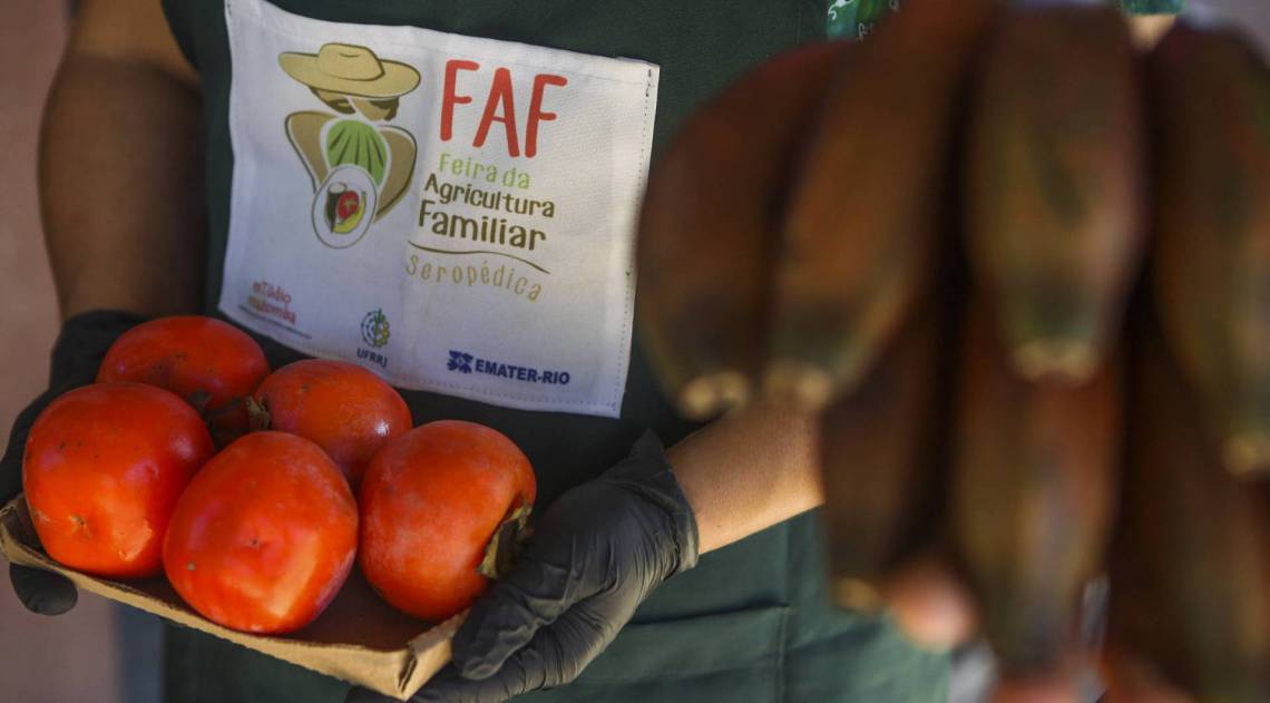 Rio, 20/05/2020  - COVID 19 - CORONAVIRUS - Feira da agricultura familiar. Projeto criado pela UFRRJ e EMATER-RIO. Seropedica, Municipio do Rio. coronavirusrio. Foto: Ricardo Cassiano/Agencia O Dia