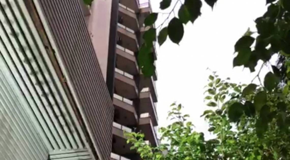 Com medo de represálias, simpatizantes da iniciativa preferiram não se identificar nesta reportagem - Divulgação / Silvia Alencastro