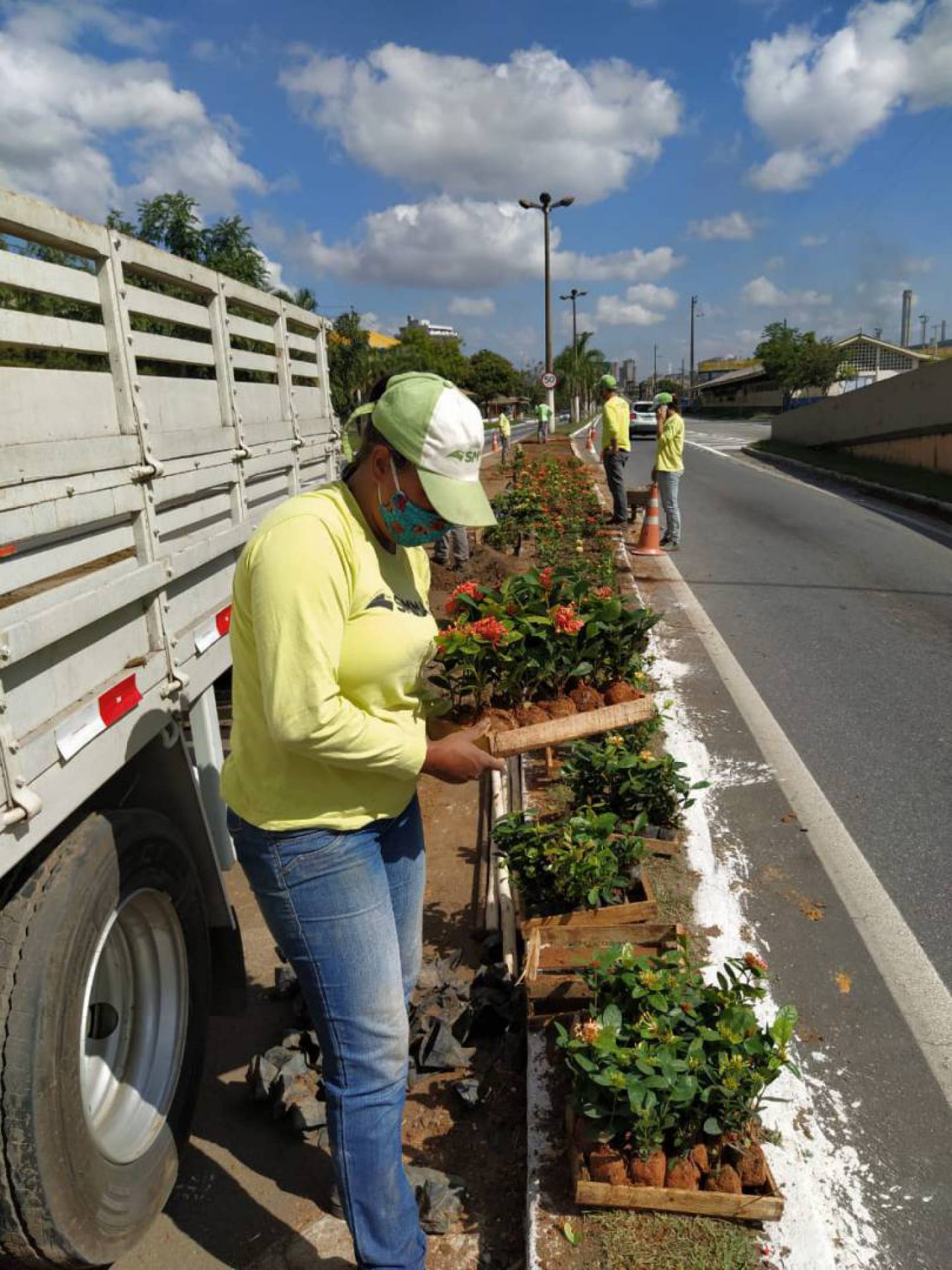 Trecho urbano da BR 393 recebe plantio de flores em Volta Redonda