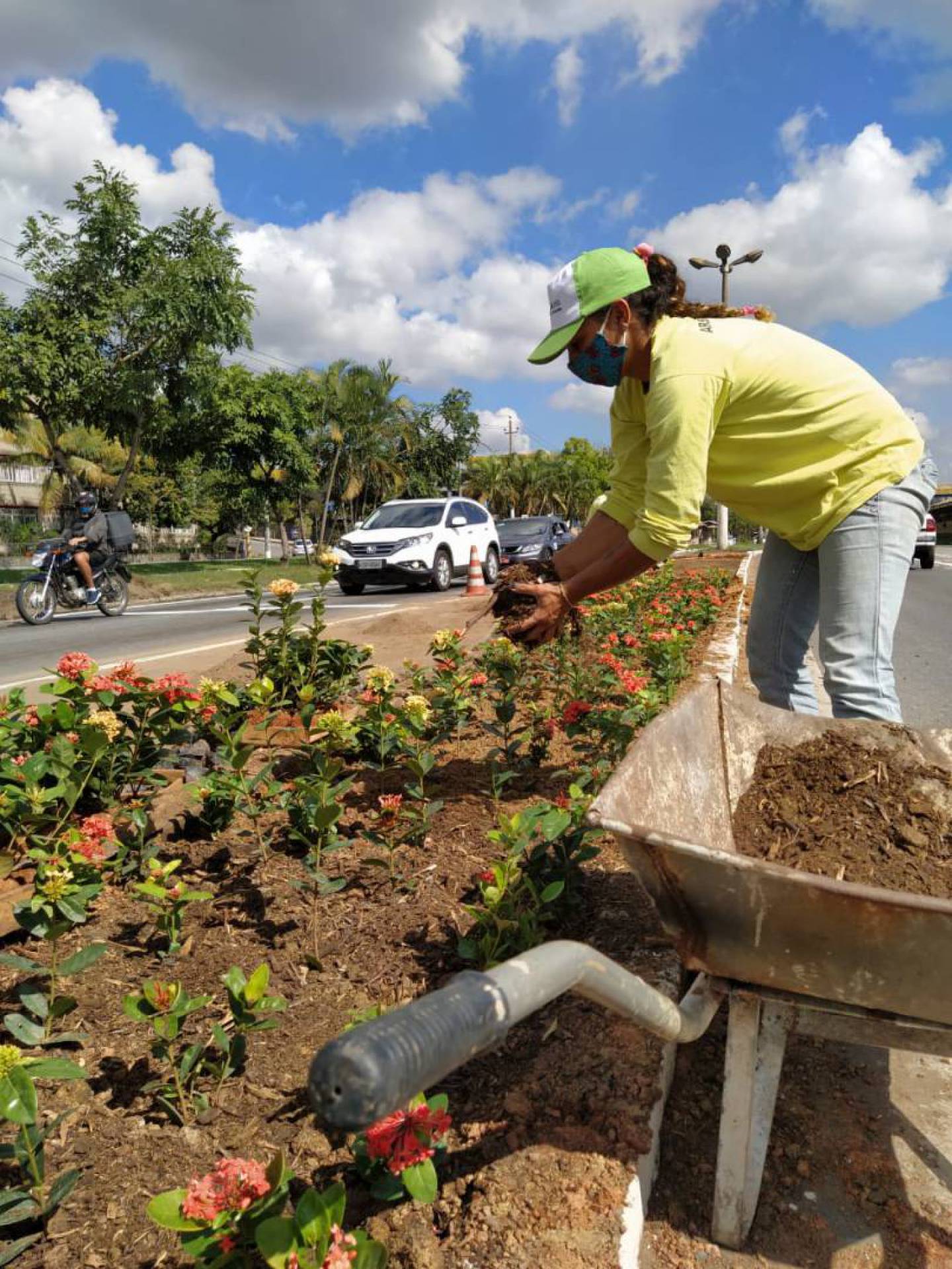 Programa de Arborização e Paisagismo é realizado em Volta Redonda - Divulgação